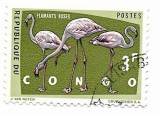Republica Democratica Congo - Pasari protejate I, 1963 - 3 FC, obliterat