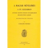 Magyar művelőd&eacute;s a XV. sz&aacute;zadban - Antonio Bonfini Rerum Hungaricarum decades-&eacute;nek alapj&aacute;n - Cs&aacute;sz&aacute;r Mih&aacute;ly