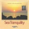CD Christopher Buckman &lrm;&ndash; Sea Of Tranquility, original