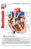 Plansa Anatomie 2, Autor Anonim