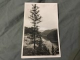 Carte postala Gyilkos-to / Lacul Rosu Fotofilm Kolozsvar !