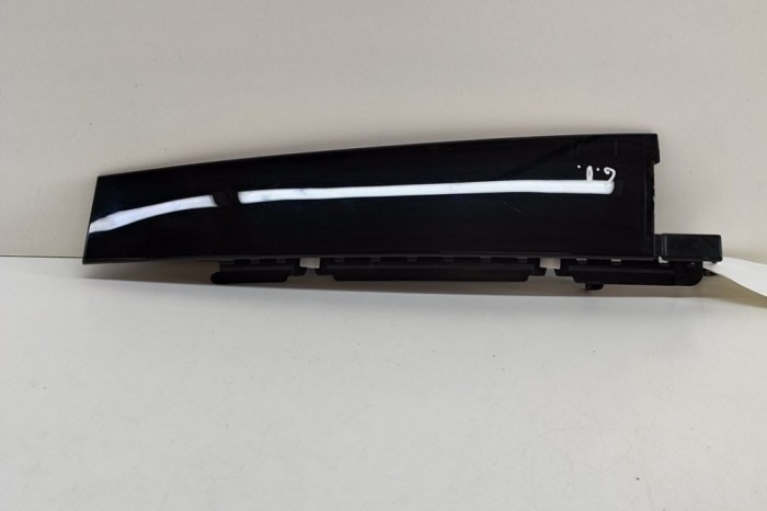 Ornament vertical ușă dreapta spate FORD USA Mustang Mach-E 2023 OEM: LJ8B-R254A40-ABW | 24529220