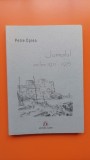 Jurnalul anilor 1971-1975 - Petre Oprea