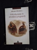 Mihaela Minulescu - Introducere in analiza jungiana