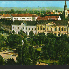 CPI B12448 CARTE POSTALA - MUNICIPIUL SATU MARE