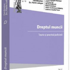 Dreptul muncii. Teorie si practica judiciara - Florin Ludusan