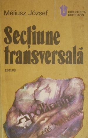Sectiune transversala. Eseuri, insemnari de calatorie, evocari &ndash; Meliusz Jozsef