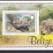 DB1 Fauna Jaguar Belize SS MNH