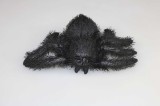 Paianjen Tarantula de Plus 16cm, Jucarie Copii, Baieti/Fete, 3+ ani, Negru/Multicolor, Animal Plus, Cadou Ideal