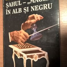 Sahul - "magie" in alb si negru - Pius Brinzeu (Editura de Vest, 1995)