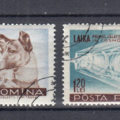 ROMANIA 1957 LP 447 CATELUSA LAIKA PRIMUL CALATOR IN COSMOS SERIE STAMPILATA