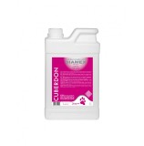 Cumpara ieftin Sampon Caini Diamex Cuberdon 1L - Parfum Dulce, Toate Rasele, Dilutie 1:8, Curatare Blanda