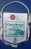 D9 6 - fanion - sport - kaiac-canoe - Cupa Olimpia - Memorial Traian Nadasean