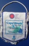 D9 6 - fanion - sport - kaiac-canoe - Cupa Olimpia - Memorial Traian Nadasean