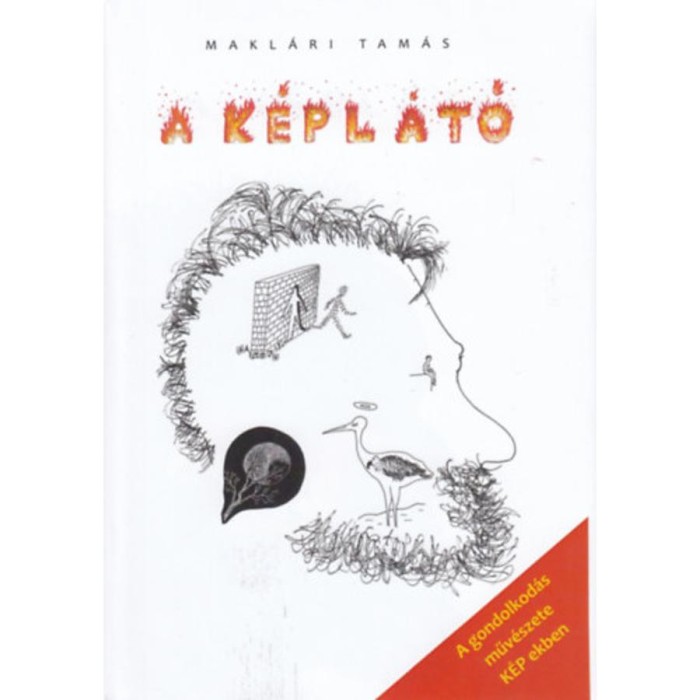 A k&eacute;pl&aacute;t&oacute; - Makl&aacute;ri Tam&aacute;s