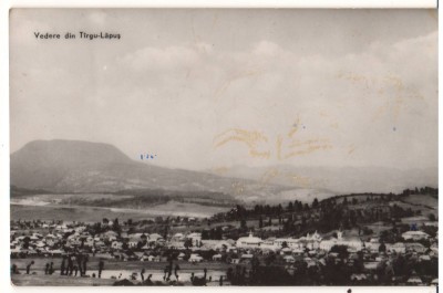 CPIB 19215 CARTE POSTALA - VEDERE DIN TARGU LAPUS, RPR foto
