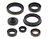 Set simeringuri motor Suzuki RMZ 250 07- 24 Vertex 822329