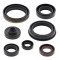 Set simeringuri motor Suzuki RMZ 250 07- 24 Vertex 822329