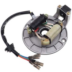 Aprindere Magnetou ATV QUAD 107 107cc - 2 Bobine + Semering