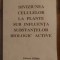 Diviziunea celulelor la plante sub influenta substantelor biologic active- Gh. Acatrinei