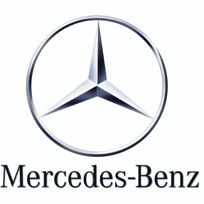Brake Set (2 Discs, 4 Pads) Oe Mercedes-benz A0004200572