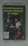 Caseta Audio Poezii pestrite pentru baietei si fetite Lector Daniela Crasnaru