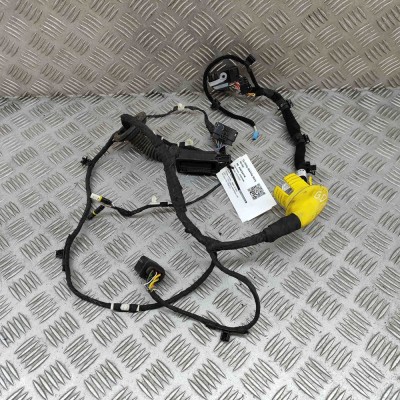 Cablaj ușă dreapta spate BMW iX I20 2022 OEM: 5A54F25 30702778 foto