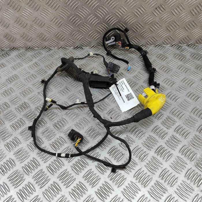 Cablaj ușă dreapta spate BMW iX I20 2022 OEM: 5A54F25 30702778