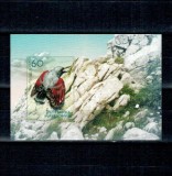 Macedonia 2004 - Păsări c&acirc;ntătoare, colita neuzata