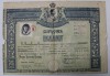 LICEUL DE FETE , SLATINA - OLT , DIPLOMA DE BACALAUREAT , desenata de A. BORDENACHE , 1938