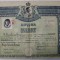 LICEUL DE FETE , SLATINA - OLT , DIPLOMA DE BACALAUREAT , desenata de A. BORDENACHE , 1938