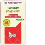 Joc Tangram Magnetic. Sapte piese si mii de combinatii!