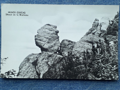 428 - Muntii Ciucas - Sfinxul de la Bratocea / carte postala RPR necirculata foto
