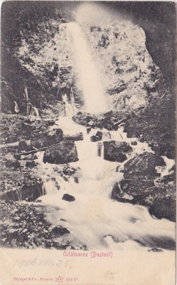 CP Urlatoarea Busteni ND(1906) foto