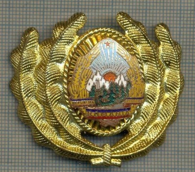 Y 1562 INSIGNA-MILITARA-EMBLEMA COIFURA- OFITER -RSR -PENTRU COLECTIONARI foto