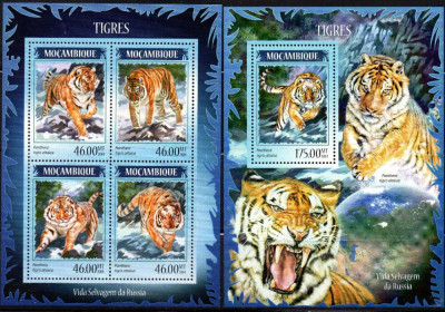 MOZAMBIC 2014, Fauna, Feline, serie neuzată, MNH foto