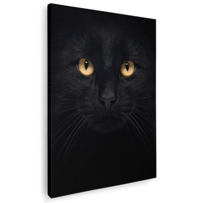 Tablou portret pisica neagra pisici Tablou canvas pe panza CU RAMA 80x120 cm foto