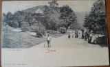 Carte postala, Sinaia, vedere din parc