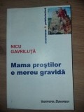 Mama prostilor e mereu gravida- Nicu Gavriluta