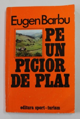 PE UN PICIOR DE PLAI... de EUGEN BARBU , 1978 foto