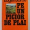 PE UN PICIOR DE PLAI... de EUGEN BARBU , 1978