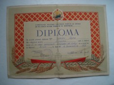 Diploma Comitetul pentru Cultura Fizica si Sport, 1953, Dinamo, locul I volley