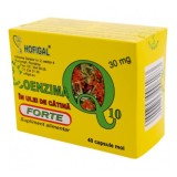 Coenzima Q10 in ulei de catina Forte 30 mg, 40 capsule, Hofigal