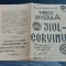 program Jiul - Corvinul Hd.