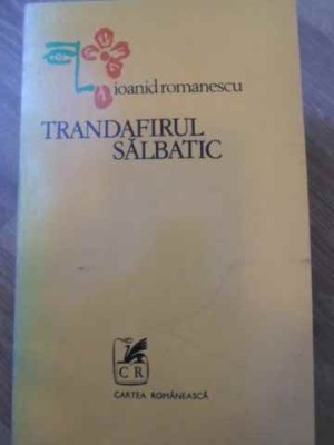 TRANDAFIRUL SALBATIC. POEZII PRINCEPS-IOANID ROMANESCU-276616 foto