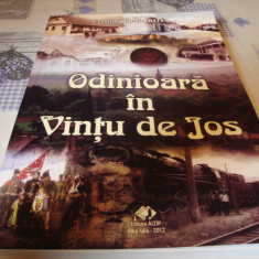 C. F. Bota - Odinioara in Vintu de Jos - 2012