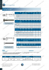 Surub tip cap hexagonal DIN 960/ DIN 961 foto