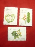 Serie Brazilia 1989 FLORA, 3 valori, Nestampilat