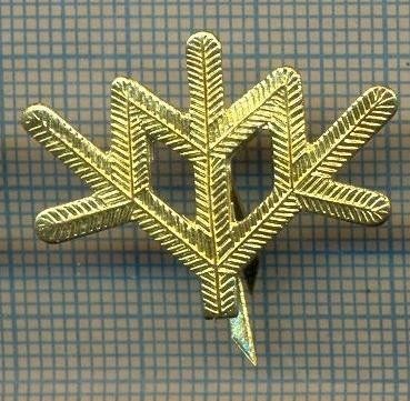 Y 1809 INSIGNA - MILITARA -SEMN DE ARMA -VANATORI DE MUNTE -PENTRU COLECTIONARI foto