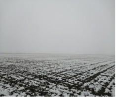 Vand Terenuri Extravilane valorificate in bloc in suprafata totala de 10500 mp